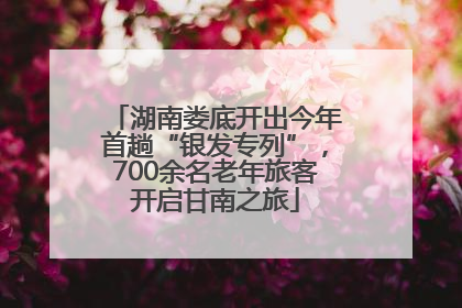 湖南娄底开出今年首趟“银发专列”，700余名老年旅客开启甘南之旅