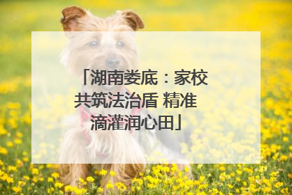 湖南娄底：家校共筑法治盾 精准滴灌润心田