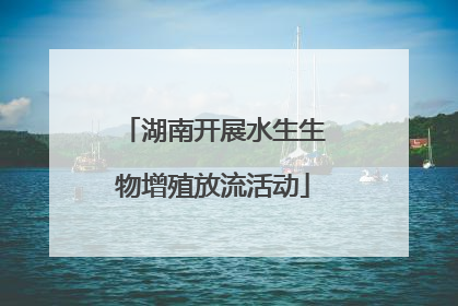 湖南开展水生生物增殖放流活动