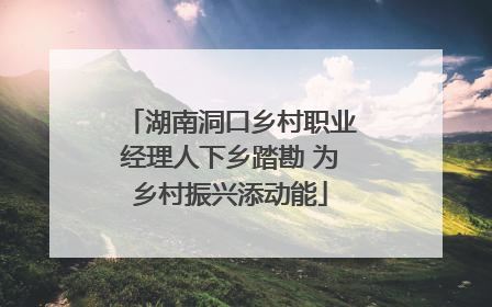 湖南洞口乡村职业经理人下乡踏勘 为乡村振兴添动能