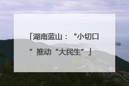 湖南蓝山：“小切口”推动“大民生”