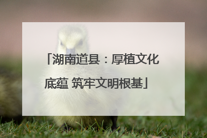 湖南道县：厚植文化底蕴 筑牢文明根基