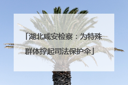 湖北咸安检察：为特殊群体撑起司法保护伞