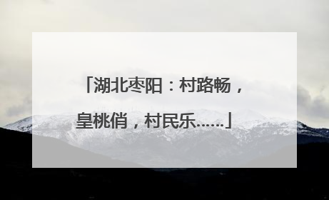 湖北枣阳：村路畅，皇桃俏，村民乐……