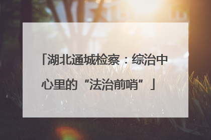 湖北通城检察：综治中心里的“法治前哨”