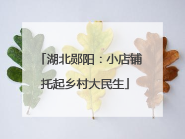 湖北郧阳：小店铺托起乡村大民生