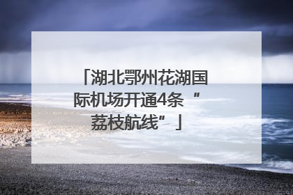 湖北鄂州花湖国际机场开通4条“荔枝航线”