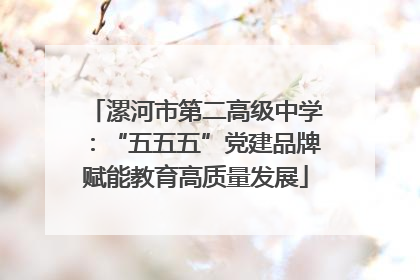 漯河市第二高级中学：“五五五”党建品牌赋能教育高质量发展