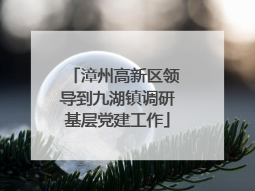 漳州高新区领导到九湖镇调研基层党建工作