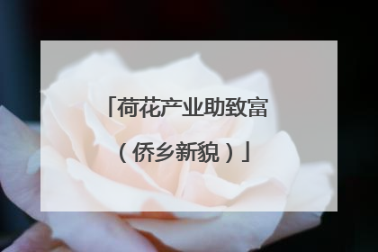 荷花产业助致富（侨乡新貌）