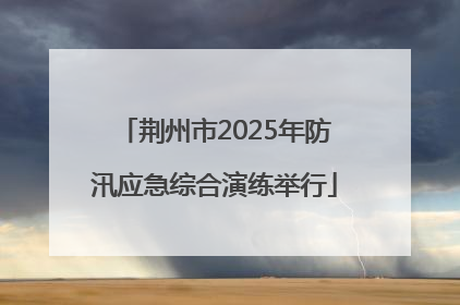 荆州市2025年防汛应急综合演练举行