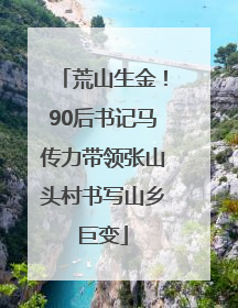 荒山生金！90后书记马传力带领张山头村书写山乡巨变