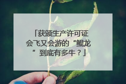 获颁生产许可证 会飞又会游的“鲲龙”到底有多牛？