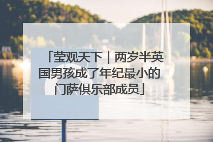 莹观天下｜两岁半英国男孩成了年纪最小的门萨俱乐部成员