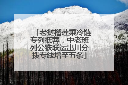 老挝榴莲乘冷链专列抵蓉，中老班列公铁联运出川分拨专线增至五条