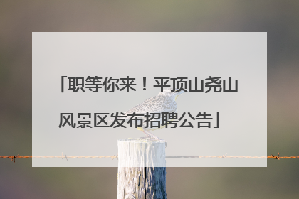 职等你来！平顶山尧山风景区发布招聘公告