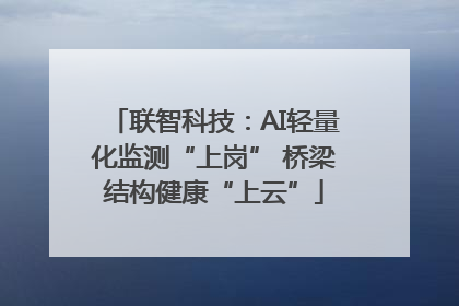 联智科技：AI轻量化监测“上岗” 桥梁结构健康“上云”