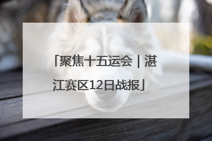 聚焦十五运会｜湛江赛区12日战报