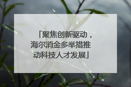 聚焦创新驱动，海尔消金多举措推动科技人才发展