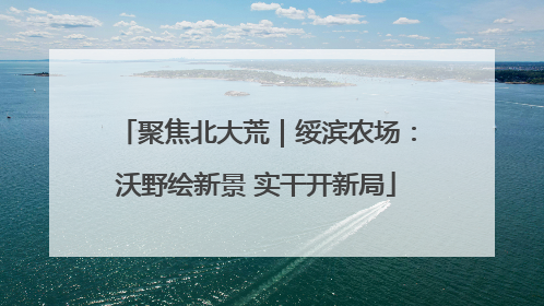 聚焦北大荒｜绥滨农场：沃野绘新景 实干开新局