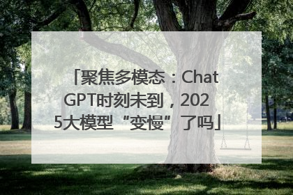 聚焦多模态：ChatGPT时刻未到，2025大模型“变慢”了吗