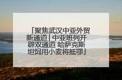聚焦武汉中亚外贸新通道│中亚班列开辟双通道 哈萨克斯坦饲用小麦将抵鄂