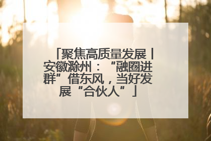 聚焦高质量发展丨安徽滁州：“融圈进群”借东风，当好发展“合伙人”