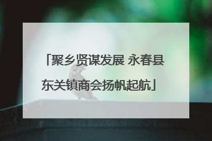 聚乡贤谋发展 永春县东关镇商会扬帆起航