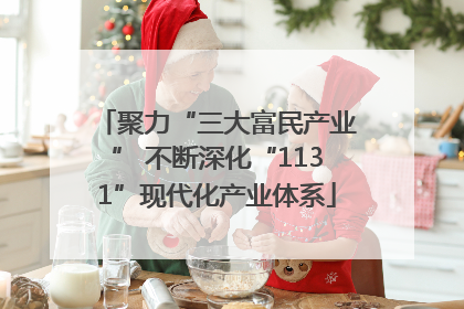 聚力“三大富民产业” 不断深化“1131”现代化产业体系