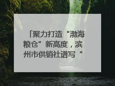 聚力打造“渤海粮仓”新高度，滨州市供销社谱写“三夏”丰收乐章