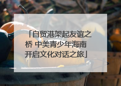 自贸港架起友谊之桥 中美青少年海南开启文化对话之旅