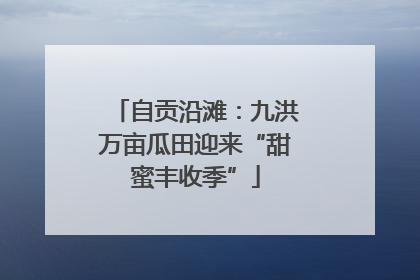 自贡沿滩：九洪万亩瓜田迎来“甜蜜丰收季”