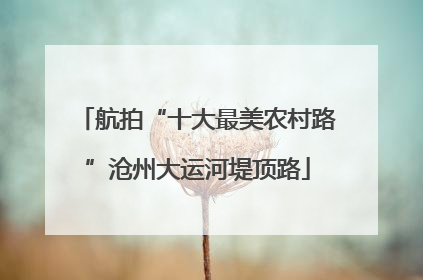 航拍“十大最美农村路”沧州大运河堤顶路