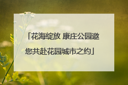 花海绽放 康庄公园邀您共赴花园城市之约