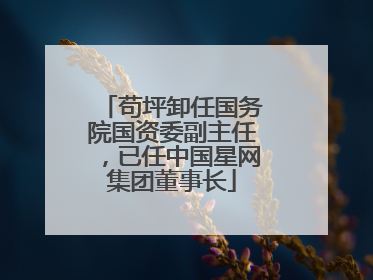 苟坪卸任国务院国资委副主任，已任中国星网集团董事长