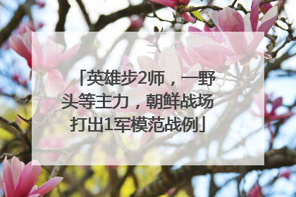 英雄步2师，一野头等主力，朝鲜战场打出1军模范战例