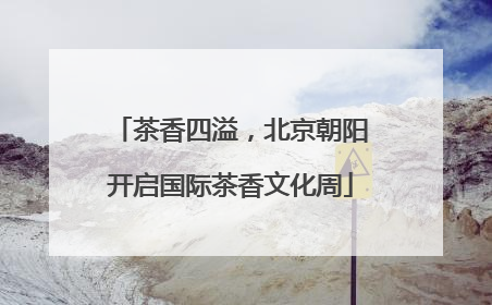 茶香四溢，北京朝阳开启国际茶香文化周