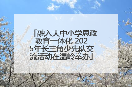 融入大中小学思政教育一体化 2025年长三角少先队交流活动在温岭举办