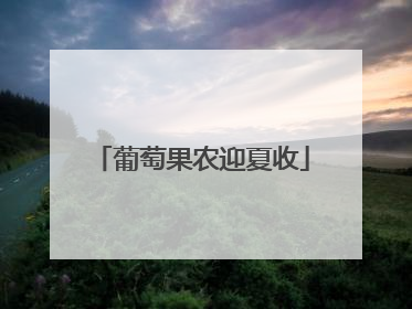 葡萄果农迎夏收