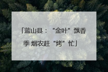蓝山县：“金叶”飘香季 烟农赶“烤”忙