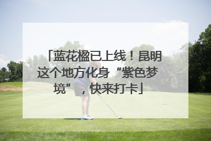 蓝花楹已上线！昆明这个地方化身“紫色梦境”，快来打卡