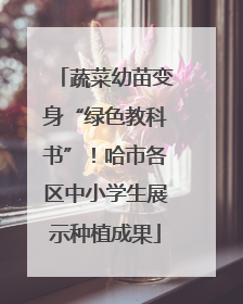 蔬菜幼苗变身“绿色教科书”！哈市各区中小学生展示种植成果