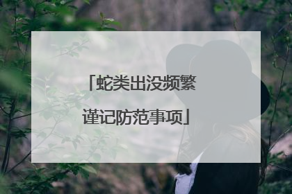 蛇类出没频繁 谨记防范事项
