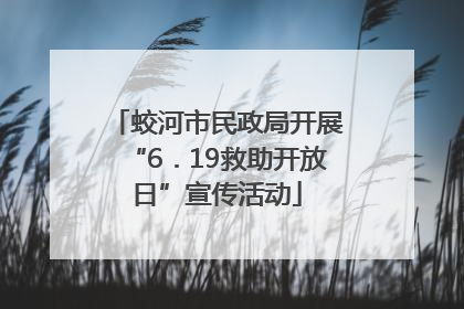 蛟河市民政局开展“6．19救助开放日”宣传活动