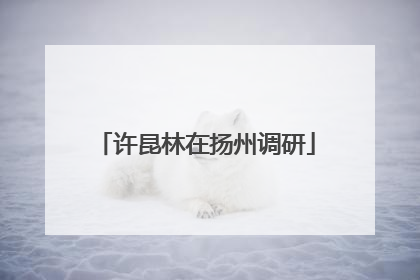 许昆林在扬州调研