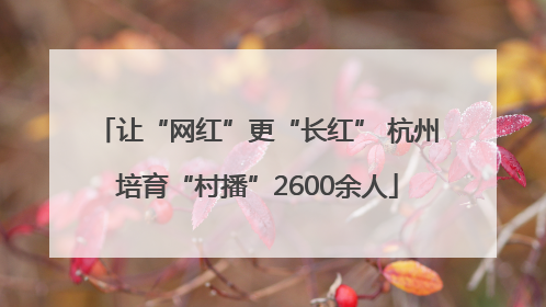 让“网红”更“长红” 杭州培育“村播”2600余人