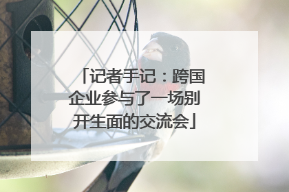 记者手记：跨国企业参与了一场别开生面的交流会