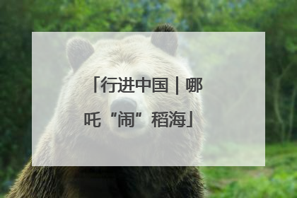 行进中国｜哪吒“闹”稻海