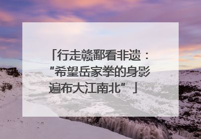 行走赣鄱看非遗：“希望岳家拳的身影遍布大江南北”