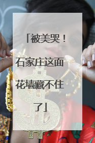 被美哭！石家庄这面花墙藏不住了